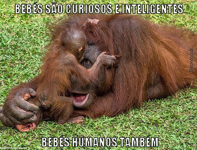 Bebés são curiosos e inteligentes, bebés humanos também